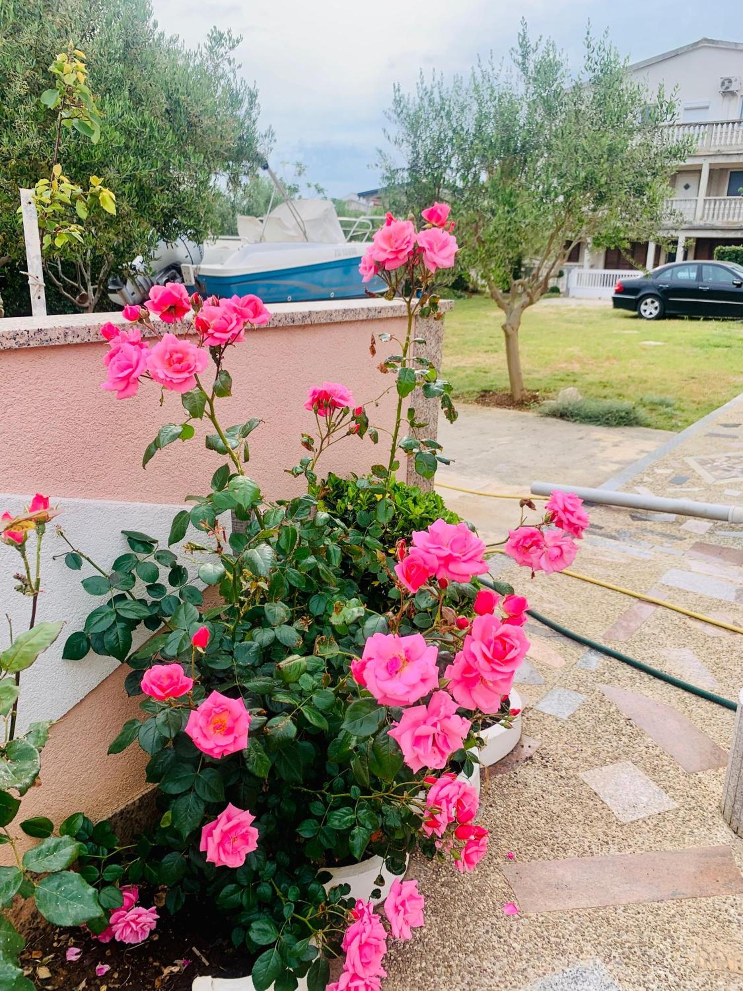 Apartments Barbara 111 فير المظهر الخارجي الصورة