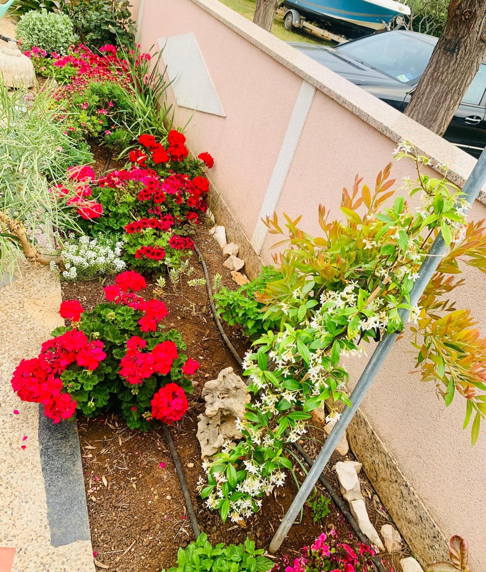 Apartments Barbara 111 فير المظهر الخارجي الصورة